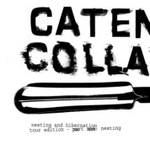 CD-cover: Catena Collapse – Nesting
